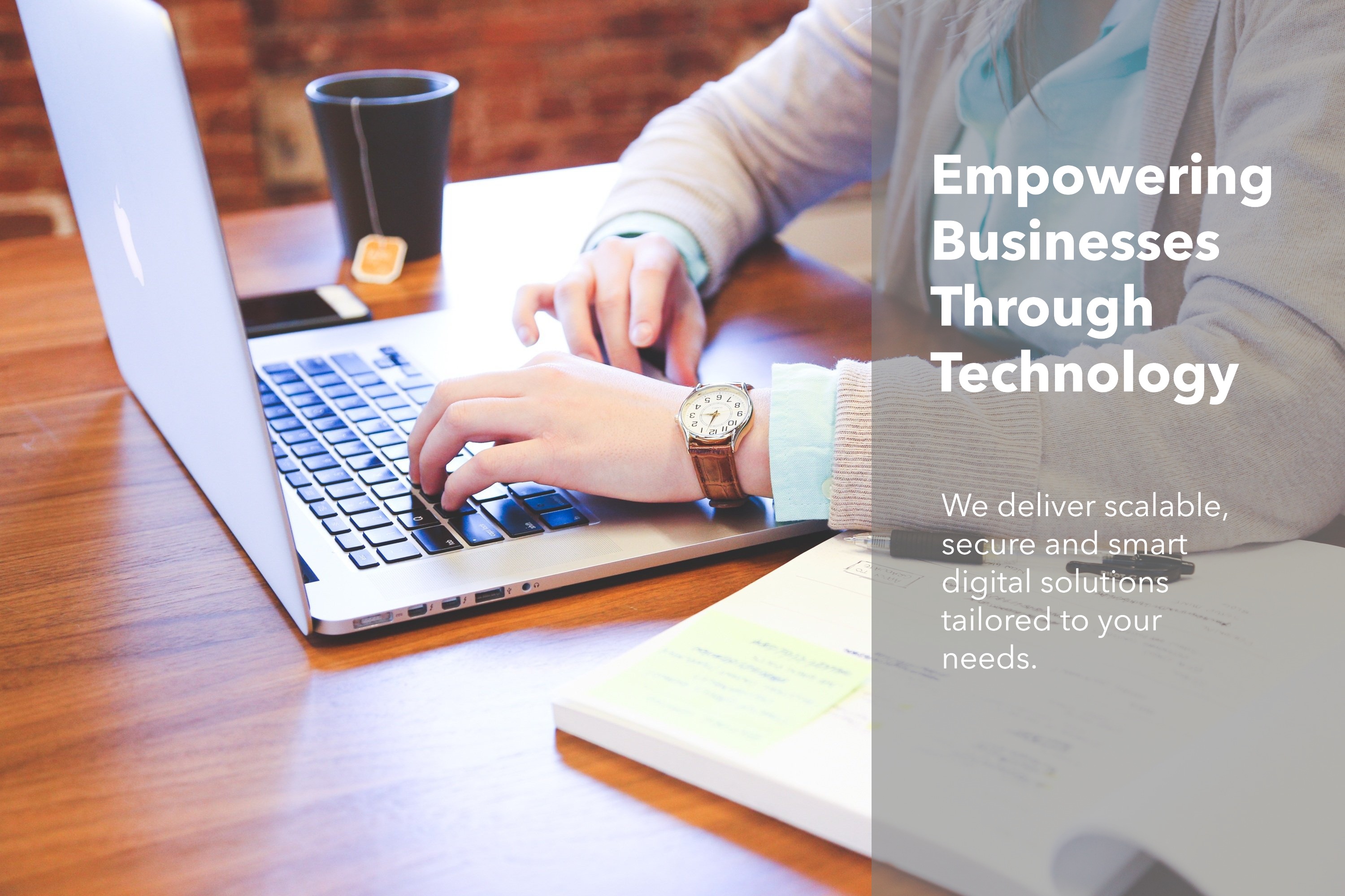 Professional tech team